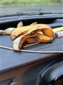 IMG_6639.jpeg